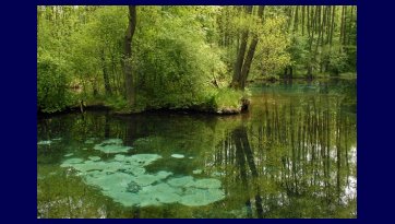 Sanctuary Blue Spring