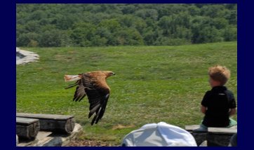 The Kreuzenstein castle