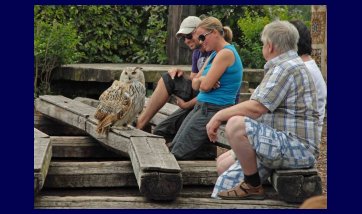 The Kreuzenstein castle