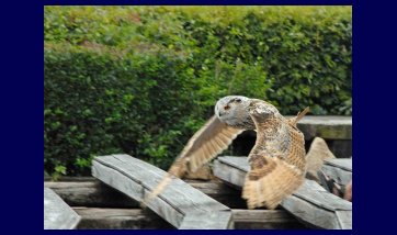 The Kreuzenstein castle