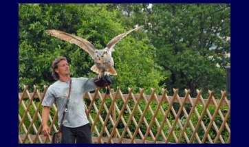 The Kreuzenstein castle