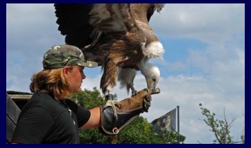The Kreuzenstein castle