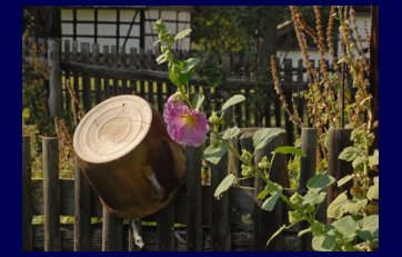 Wielkopolski Etnographical Park