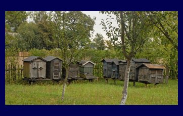 Wielkopolski Etnographical Park