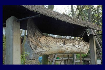 Arkady Fiedler Museum