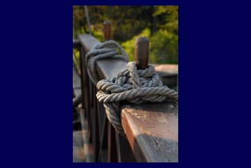 Arkady Fiedler Museum