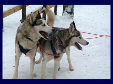 the Santa Claus village 