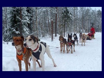 the Santa Claus village 